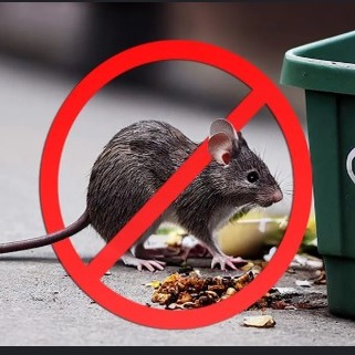 Rodent Control