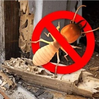 Termite Control